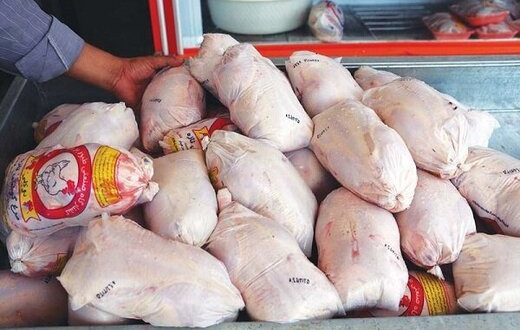 کاهش قیمت مرغ به ۸۰ هزار تومان/ مازاد عرضه داریم