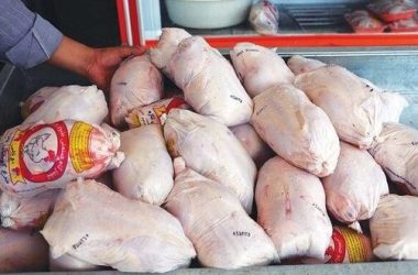 ماهانه ۲۰۰ هزار تن مرغ مورد نیاز کشور است