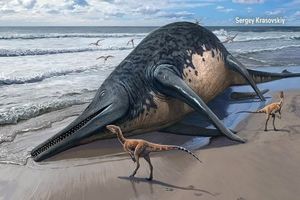 کشف اتفاقی استخوان بزرگترین موجود دریایی که ۲۰۲ میلیون سال قبل وجود داشت/ ویدئو