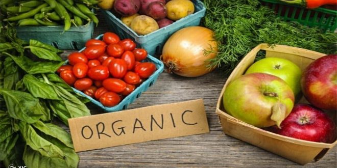 ایران رتبه ۷۹ تولید محصولات ارگانیک در دنیا