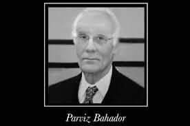 پرویز بهادر دوبلور قدیمی درگذشت