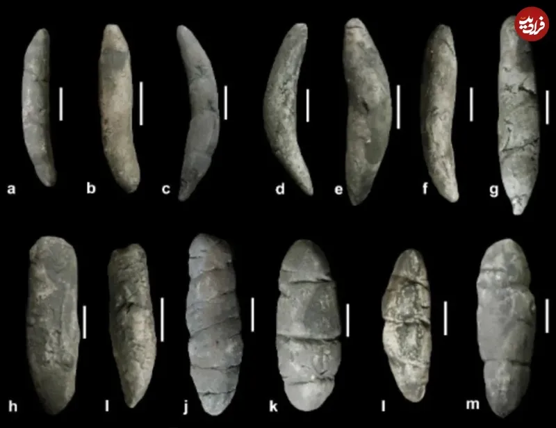 چرا دانشمندان به مطالعۀ فسیل مدفوع و استفراغ دایناسورها علاقمند شده‌اند؟