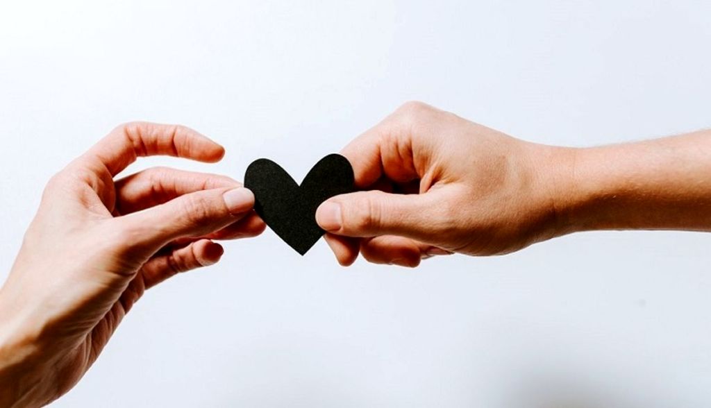 1738076447 137 انتخاب های رنگی و زناشویی دانش دوست