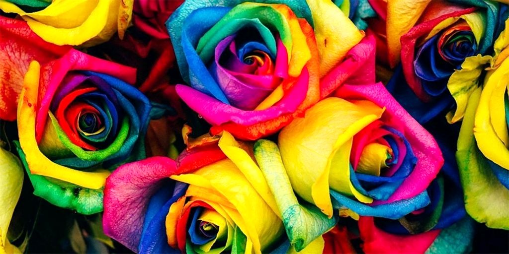 انتخاب های رنگی و زناشویی