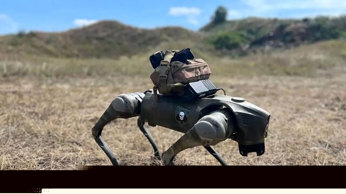 رژه سگ‌های رباتیک در ارتش هند/ ویدئو

