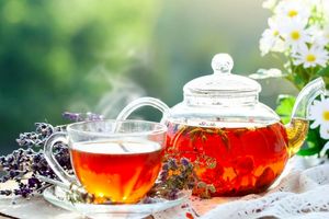 چای بنوشید تا پیر نشوید