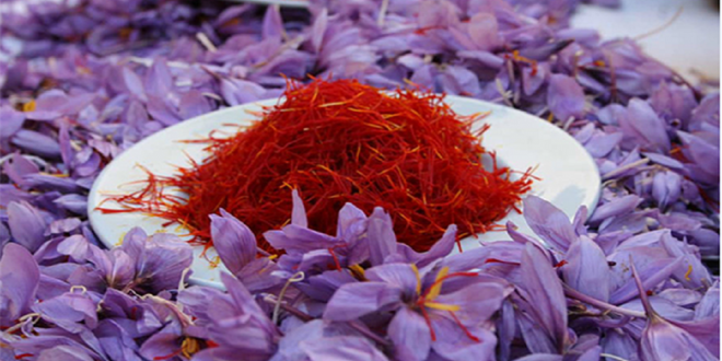 صادرات زعفران به ۱۶۱ تن رسید