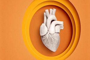 قلبی مرده احیا و به یک نوزاد پیوند داده شد_دانش دوست 1 قلبی مرده احیا و به یک نوزاد پیوند داده شد