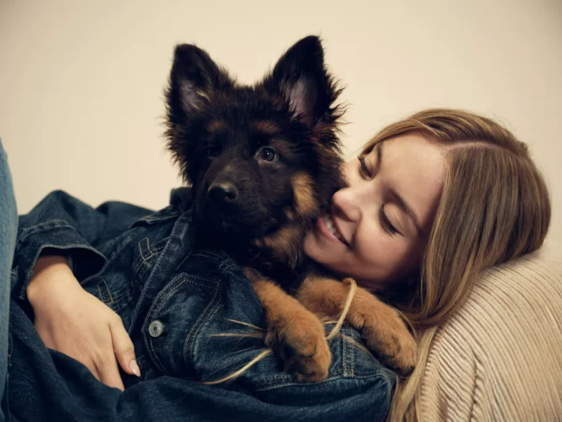 قرارداد تازه ۱۰ میلیون دلاری سیدنی سوئینی_دانش دوست 19 5