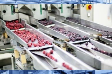 دستگاه‌ های اصلی برای تولید مواد غذایی